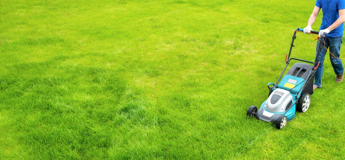 Professional Lawn-Cutting Service Tailored to Your Property’s Unique Needs